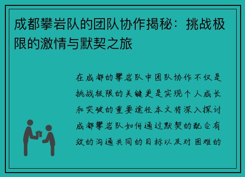 成都攀岩队的团队协作揭秘:挑战极限的激情与默契之旅 成都攀岩队的团队协作揭秘:挑战极限的激情与默契之旅